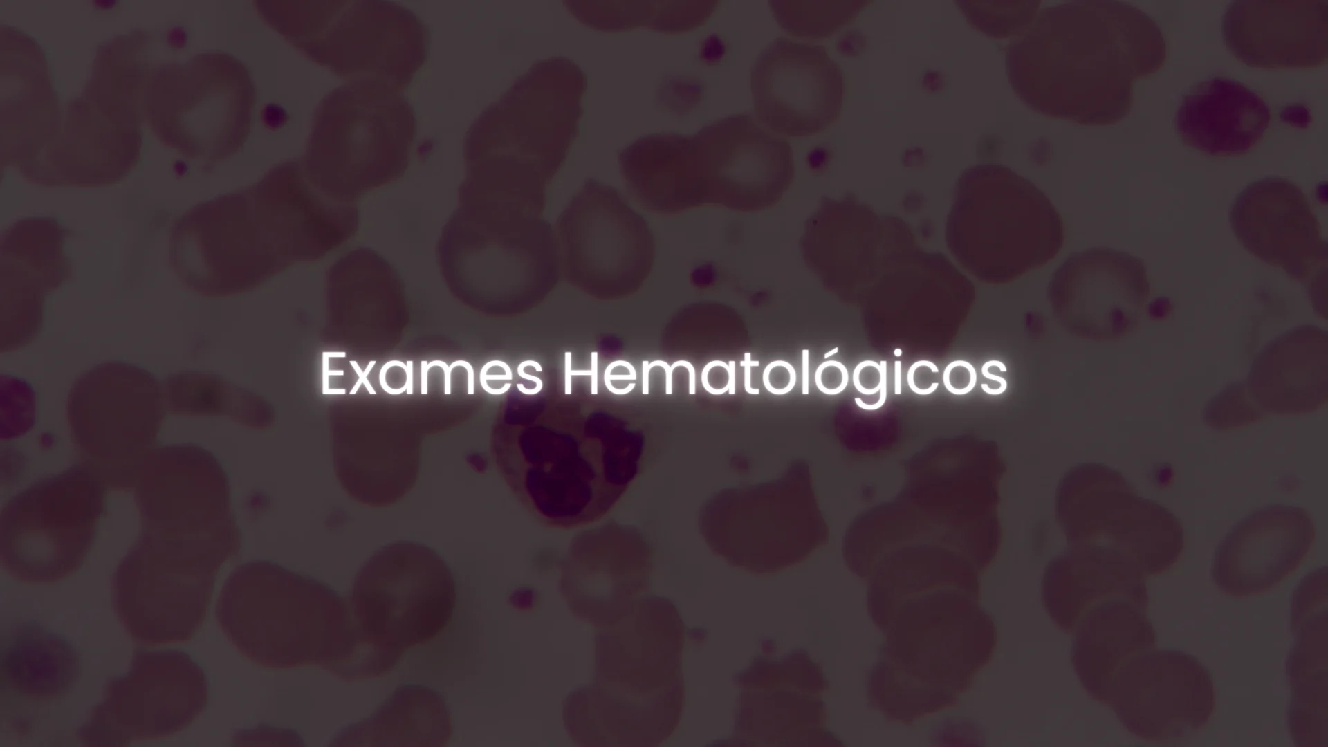 matérias - hemato on 1