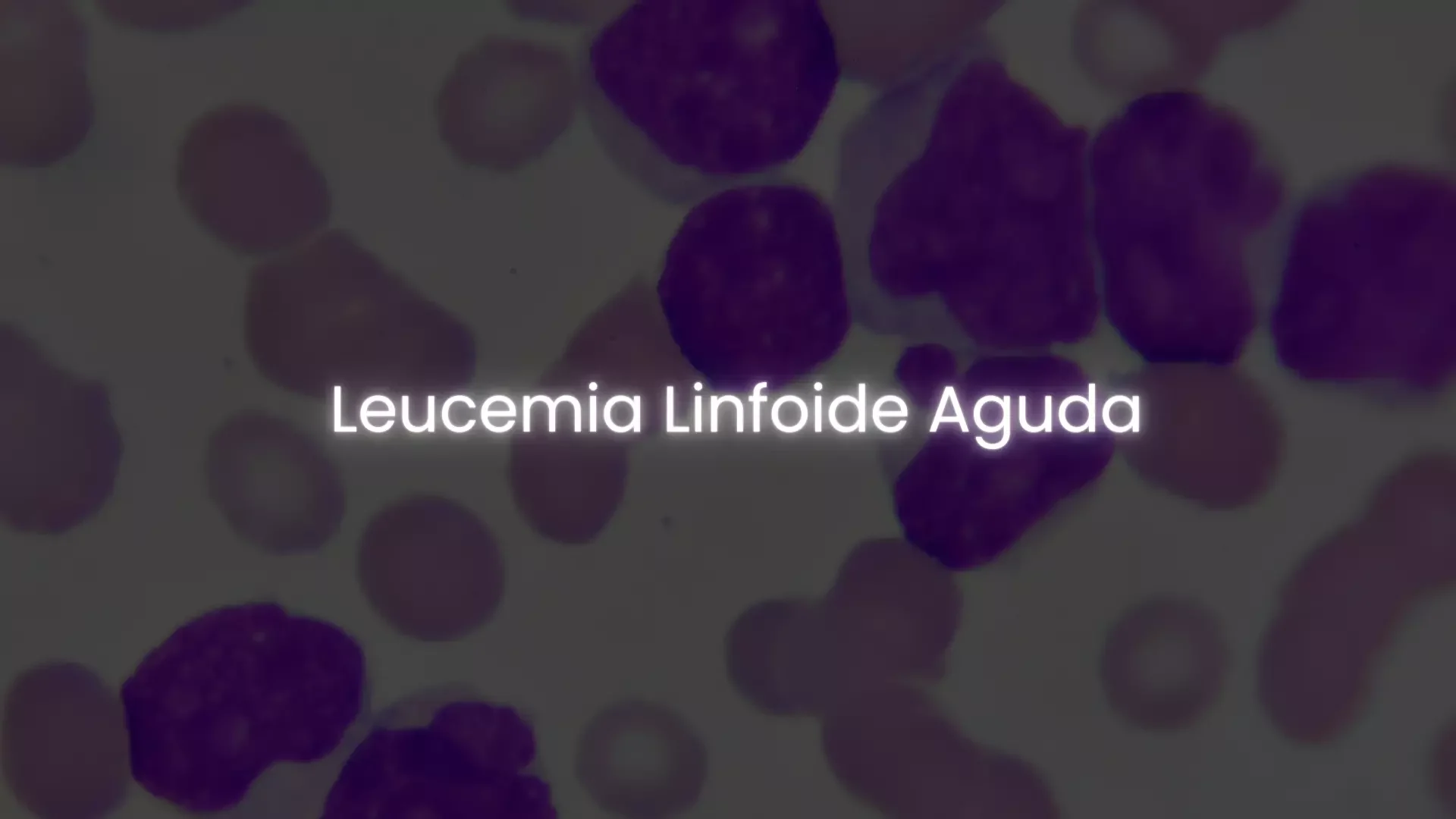 matérias - hemato on 13