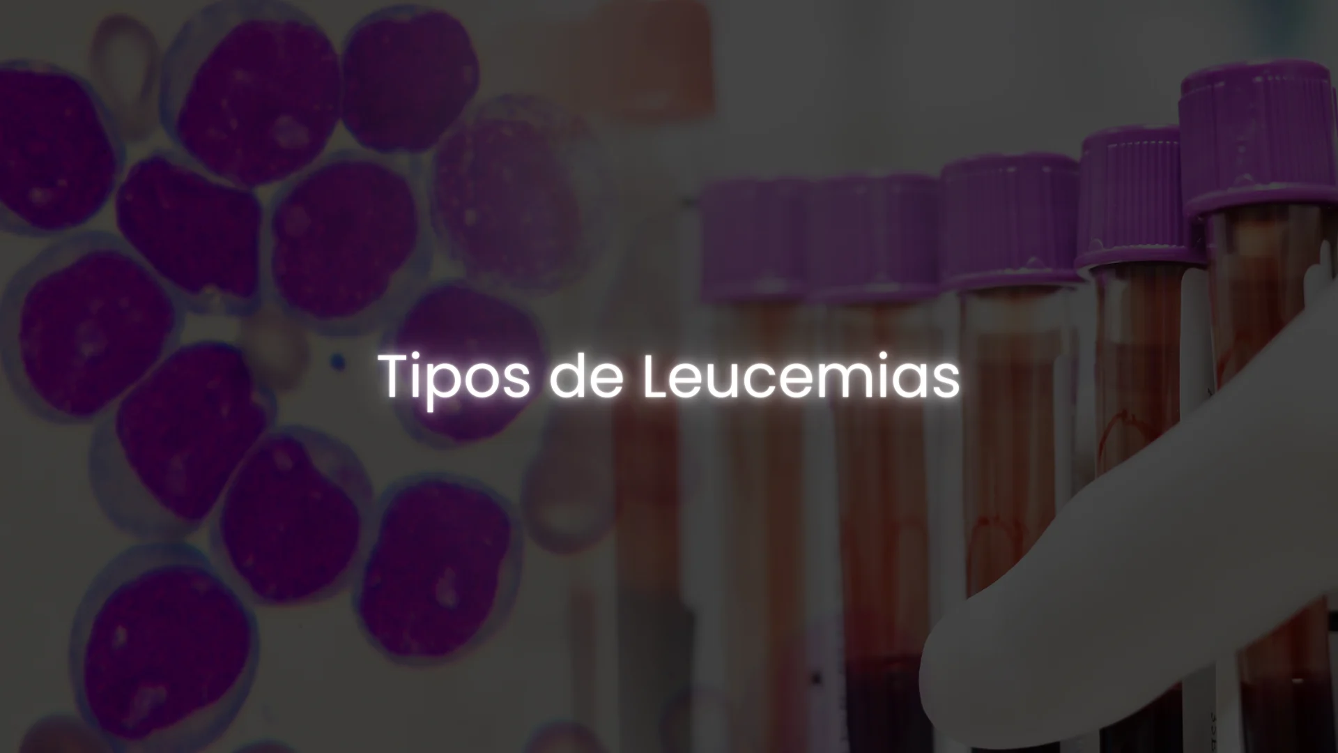 matérias - hemato on 3