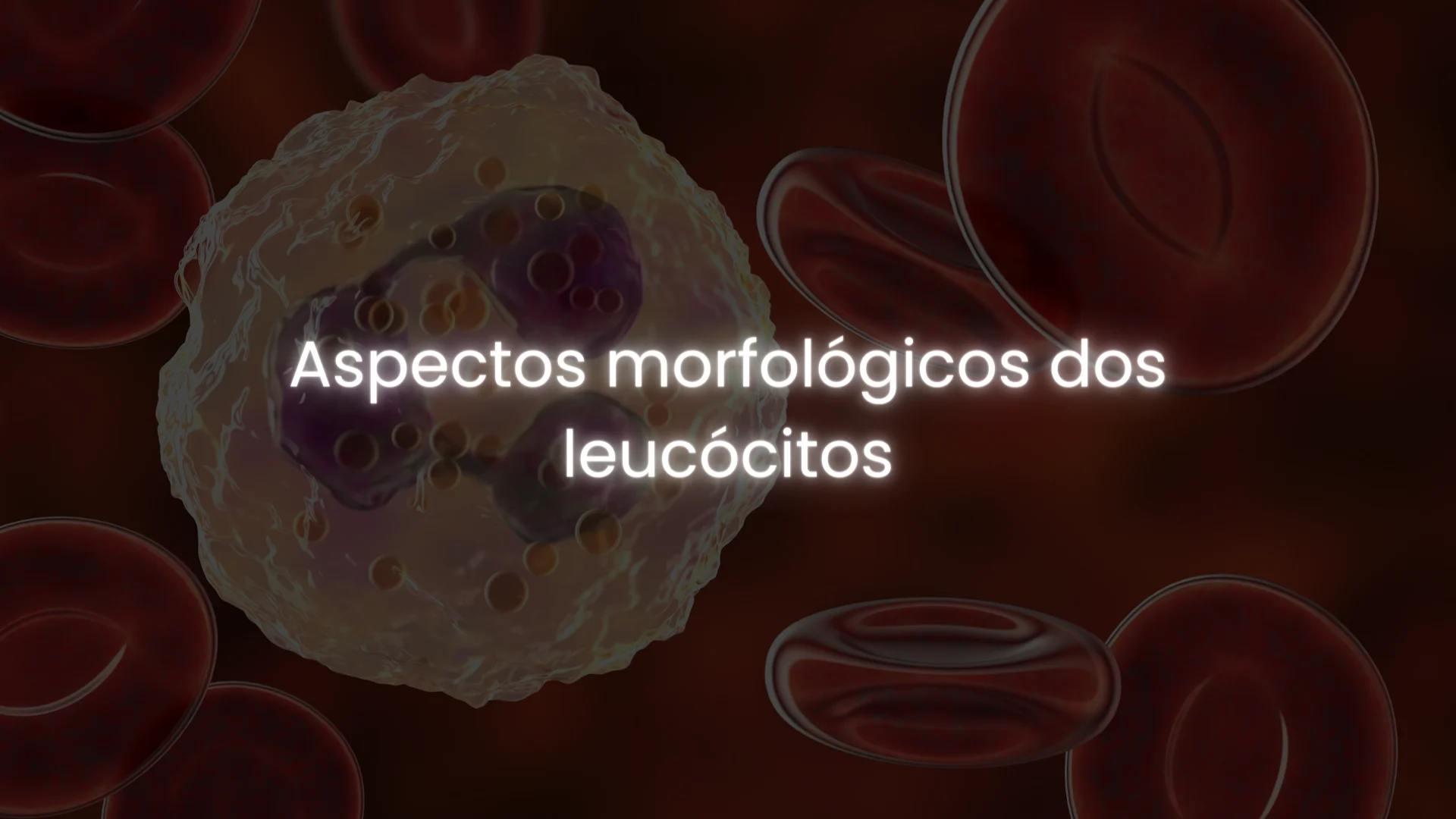 matérias - hemato on 4