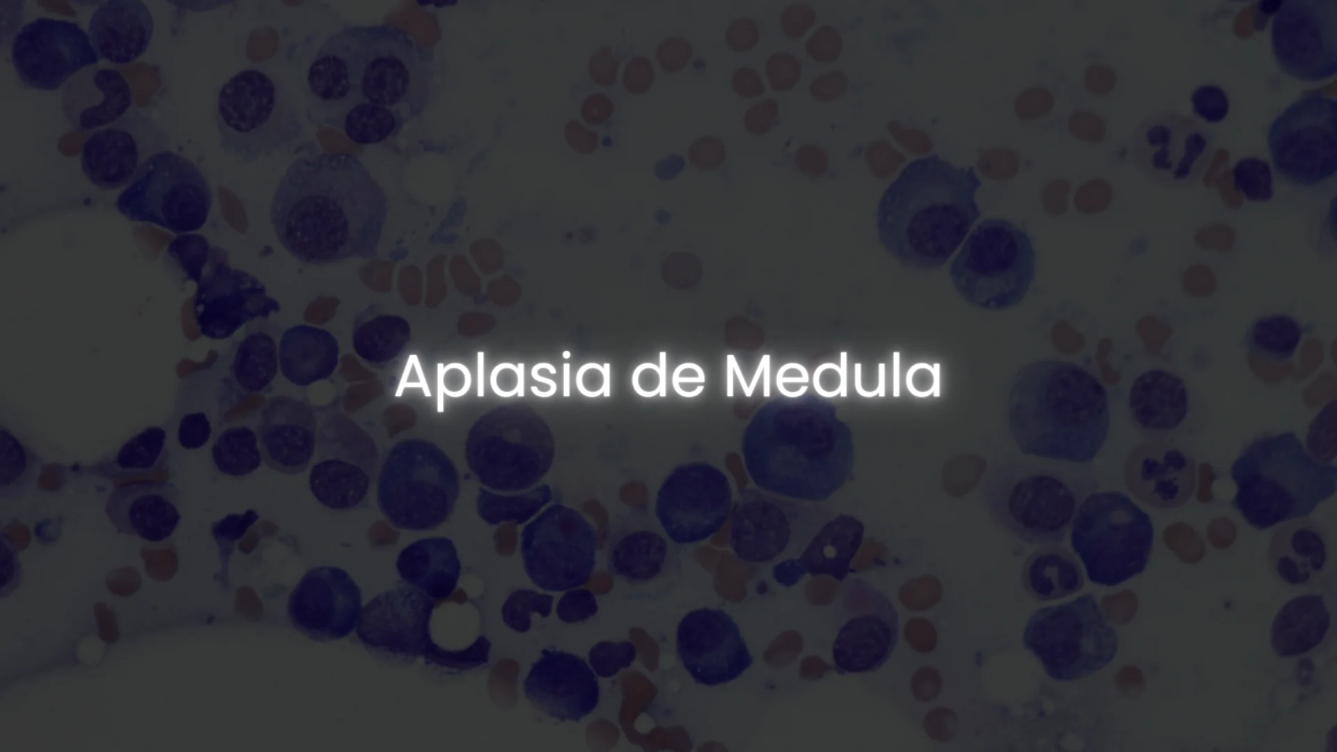 matérias - hemato on 5