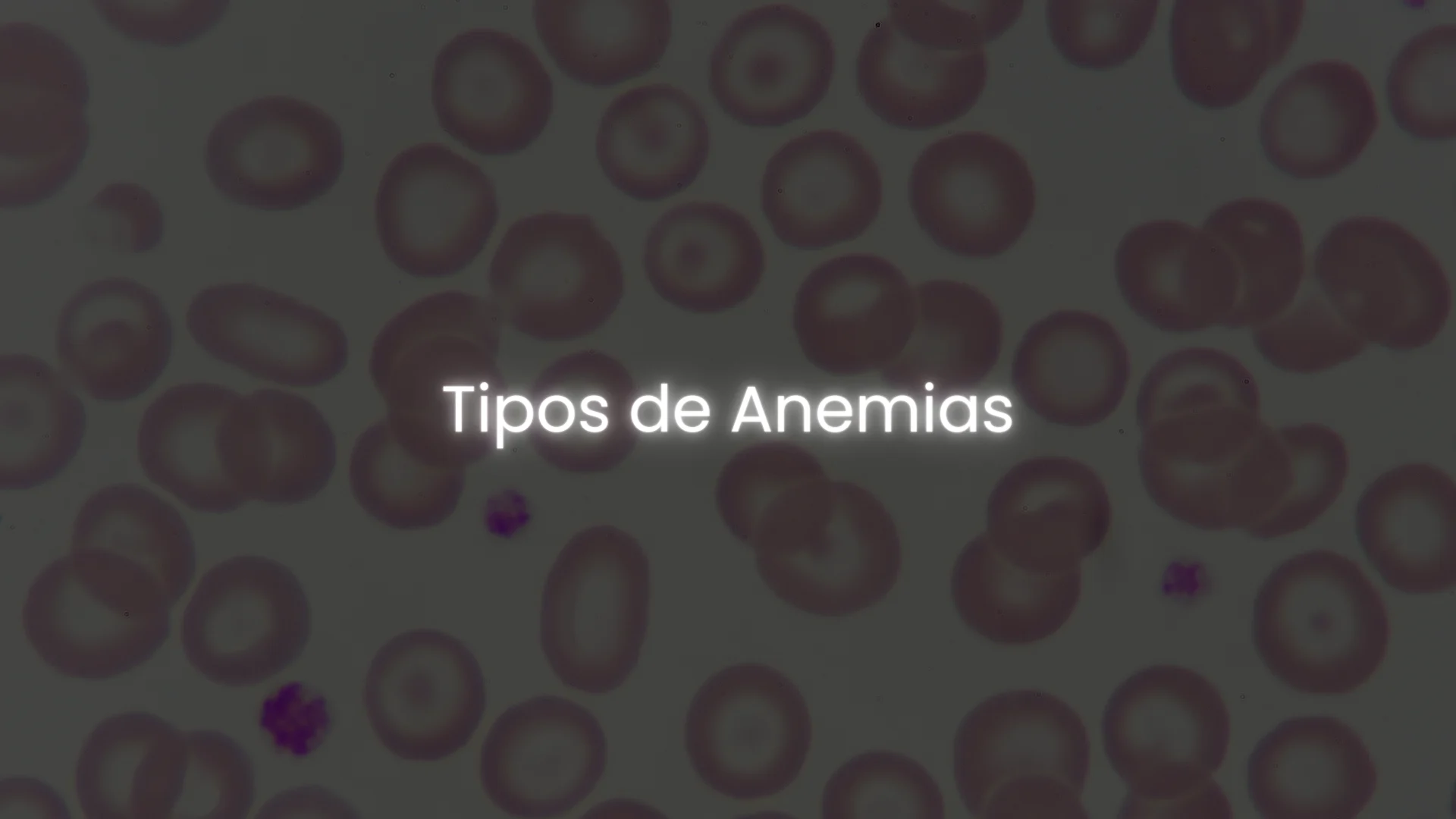 matérias - hemato on 6