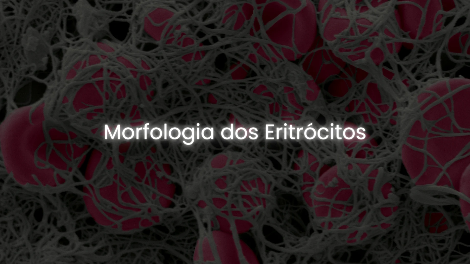 matérias - hemato on 7